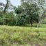  Land for sale in Sucumbios, Dureno, Lago Agrio, Sucumbios