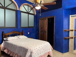 1 Schlafzimmer Appartement zu vermieten in Allende, Guanajuato, Allende