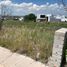  Land for sale in Huimilpan, Queretaro, Huimilpan
