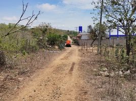  Land for sale in Berriozabal, Chiapas, Berriozabal