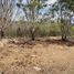  Land for sale in Berriozabal, Chiapas, Berriozabal