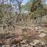  Land for sale in Berriozabal, Chiapas, Berriozabal