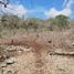  Land for sale in Berriozabal, Chiapas, Berriozabal