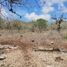  Land for sale in Berriozabal, Chiapas, Berriozabal