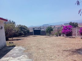  토지을(를) Atlatlahucan, 모렐 로스에서 판매합니다., Atlatlahucan