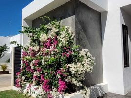3 Schlafzimmer Appartement zu verkaufen in Yaxkukul, Yucatan, Yaxkukul