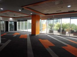 370 m² Office for rent in Monterrey, Nuevo Leon, Monterrey