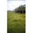  Land for sale in Acacias, Meta, Acacias