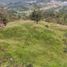  Land for sale in San Rafael, Antioquia, San Rafael