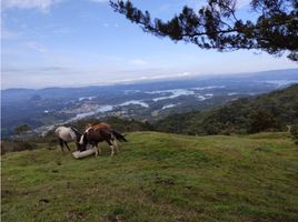  Land for sale in San Rafael, Antioquia, San Rafael