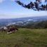  Grundstück zu verkaufen in San Rafael, Antioquia, San Rafael