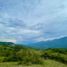  Land for sale in Barichara, Santander, Barichara