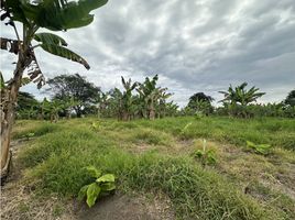  Land for sale in El Edén International Airport, Armenia, Armenia