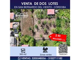  Land for sale in Monteria, Cordoba, Monteria