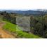  Land for sale in Guarne, Antioquia, Guarne