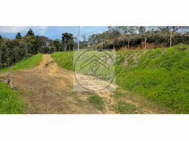  Land for sale in Guarne, Antioquia, Guarne