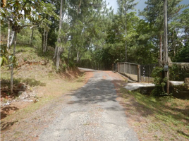  Terreno (Parcela) en venta en Panamá, Pacora, Ciudad de Panamá, Panamá