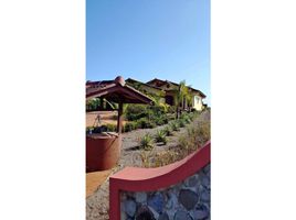 Studio House for sale in Guarumal, Alanje, Guarumal