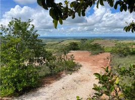  Terreno (Parcela) en venta en Pajonal, Penonomé, Pajonal