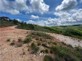  Land for sale in Penonome, Cocle, Pajonal, Penonome