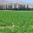  Land for sale in Los Andes, Valparaiso, Rinconada, Los Andes