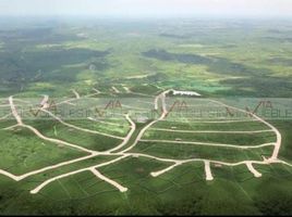  Land for sale in Montemorelos, Nuevo Leon, Montemorelos