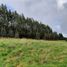  Terreno (Parcela) en venta en Puerto Varas, Llanquihue, Puerto Varas