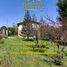 2 Schlafzimmer Haus zu verkaufen in Cushamen, Chubut, Cushamen