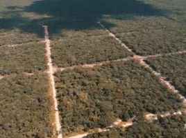  Grundstück zu verkaufen in Celestun, Yucatan, Celestun