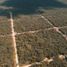  Land for sale in Celestun, Yucatan, Celestun
