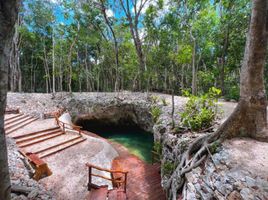  Grundstück zu verkaufen in Cozumel, Quintana Roo, Cozumel