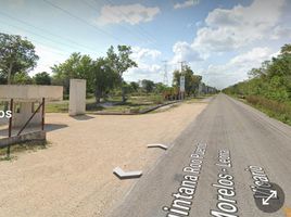  Land for sale in Puerto Morelos, Quintana Roo, Puerto Morelos, Quintana Roo