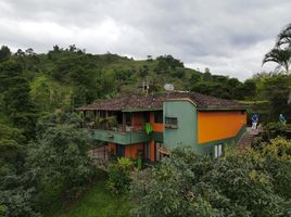 5 Habitación Villa en alquiler en Guabito, Changuinola, Guabito