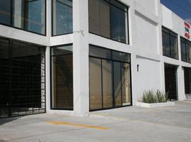 75 m² Office for rent in Guanajuato, Leon, Guanajuato