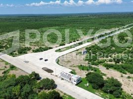  Terreno (Parcela) en venta en Linares, Nuevo León, Linares