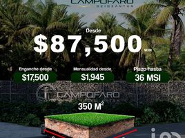 Terrain à vendre à Conkal, Yucatan, Conkal, Yucatan