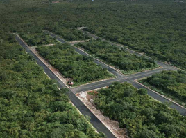  Grundstück zu verkaufen in Yaxkukul, Yucatan, Yaxkukul