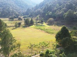  Grundstück zu verkaufen in Valle De Bravo, Mexico, Valle De Bravo