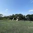  Grundstück zu verkaufen in Coatepec, Veracruz, Coatepec