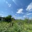  Land for sale in Cadereyta Jimenez, Nuevo Leon, Cadereyta Jimenez