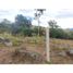  Land for sale in La Mesa, Cundinamarca, La Mesa