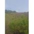  Terreno (Parcela) en venta en Mazamitla, Jalisco, Mazamitla