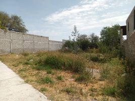  Terreno (Parcela) en alquiler en Ezequiel Montes, Querétaro, Ezequiel Montes