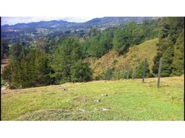  Grundstück zu verkaufen in Rionegro, Antioquia, Rionegro