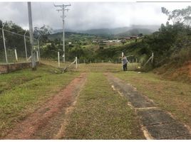  Land for sale in Dagua, Valle Del Cauca, Dagua