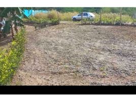  Land for sale in Pereira, Risaralda, Pereira