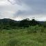  Land for sale in Caldas, Risaralda, Caldas