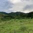  Land for sale in Caldas, Risaralda, Caldas