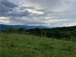  Land for sale in Caldas, Risaralda, Caldas