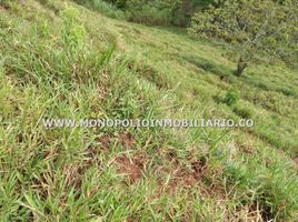  Terreno (Parcela) en venta en Uramita, Antioquia, Uramita